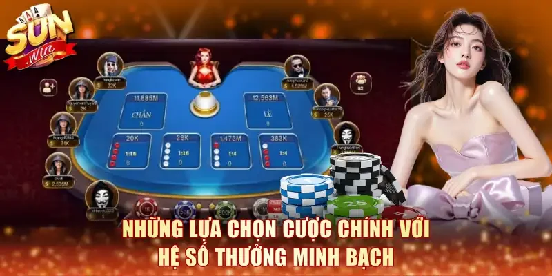 Những lựa chọn cược chính với hệ số thưởng minh bạch